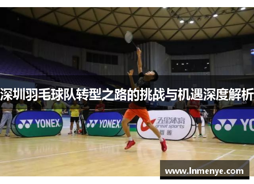 深圳羽毛球队转型之路的挑战与机遇深度解析
