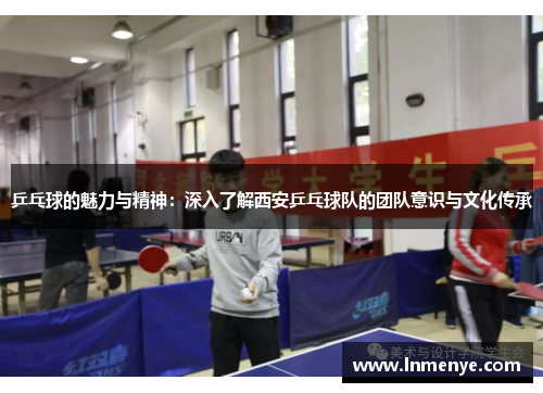 乒乓球的魅力与精神：深入了解西安乒乓球队的团队意识与文化传承